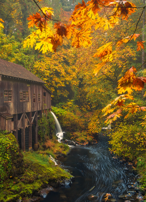 coiour-my-world:The Mill | Cedar Creek Grist Mill, Washington | Justin Poe