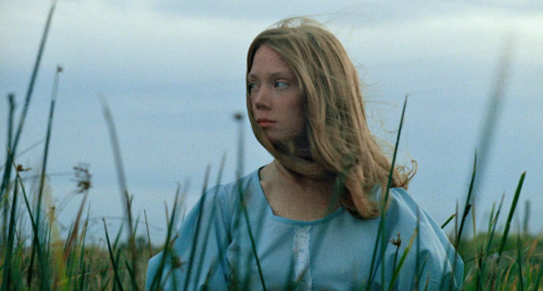 highvolumetal:  Badlands , Terrence Malick , 1973.