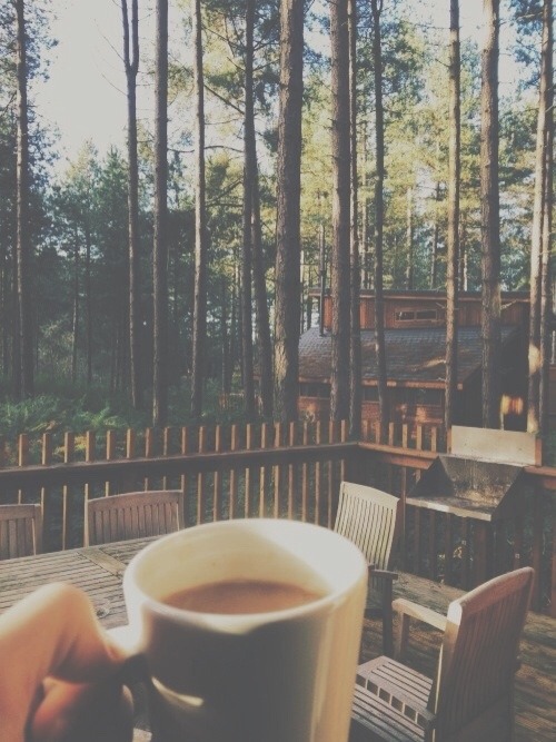 A Nature Blog