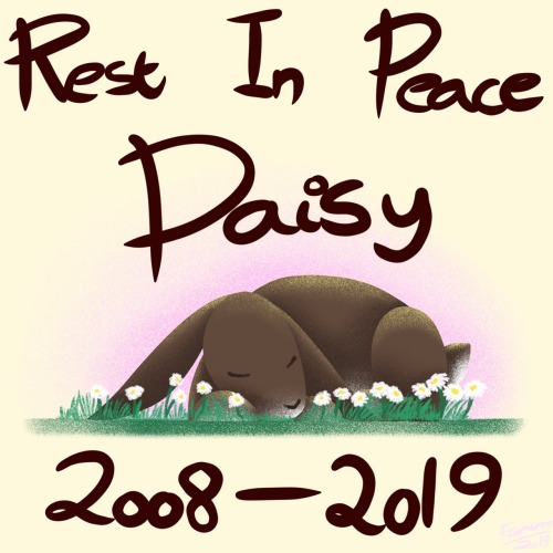 Rest In Peace Daisy, May You Join Maisy In Bunny Heaven