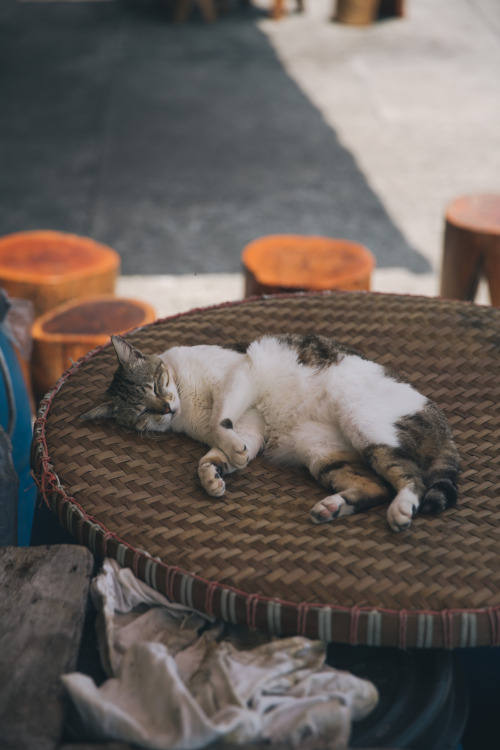 muggy afternoons in tai o - april 2019