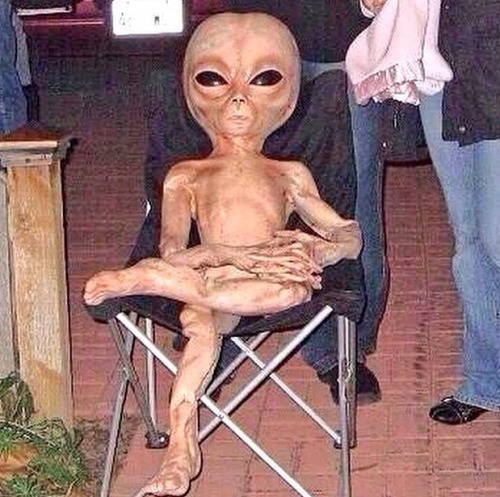 headhiigh:  When you’re high as fuck but need to take things seriously 