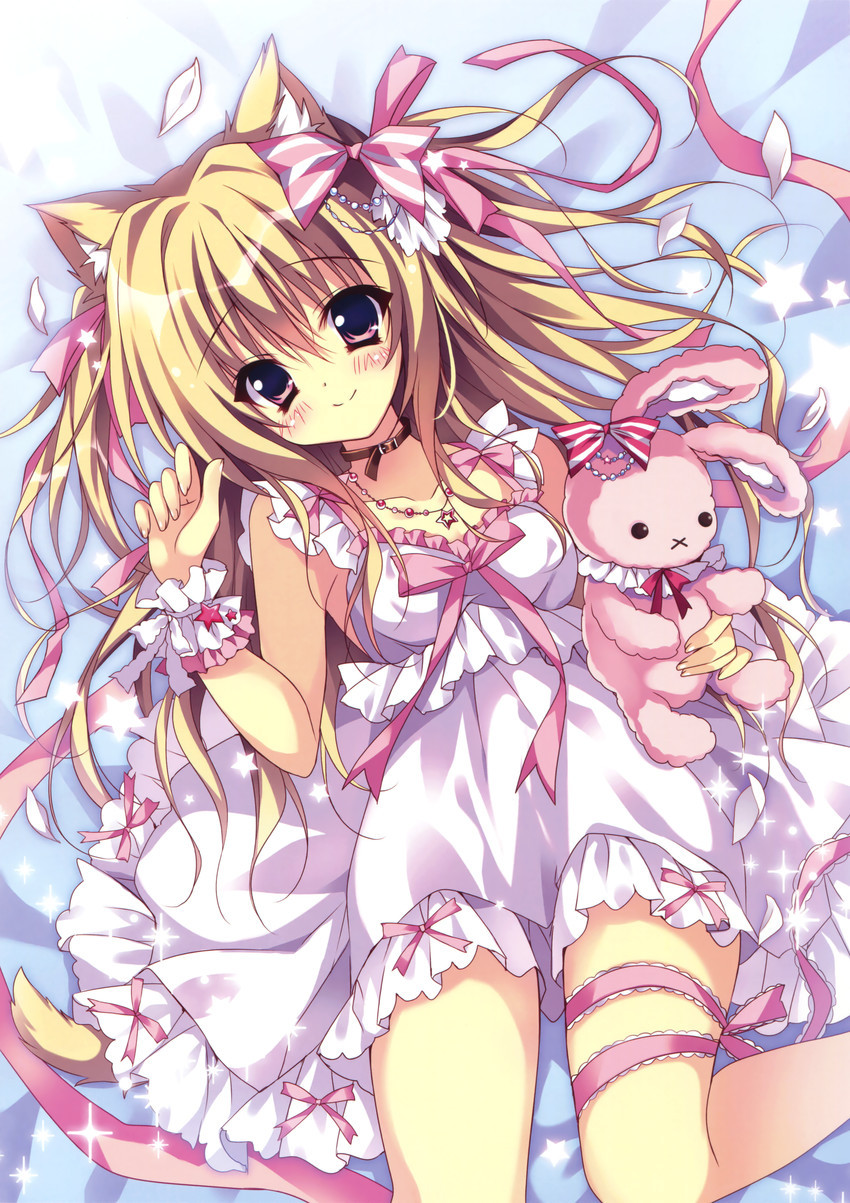 Lucky Kitten
