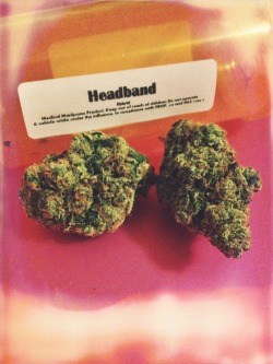 blunt-time:  Picked up some headband today 