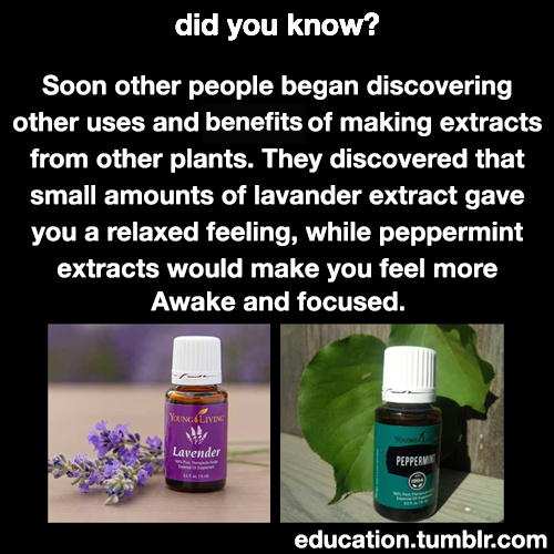 wespikeloveus: lifeisgoldenforfree:  bisexualgodess16:  education: Learn More About The Essential Oils Starter Kit!  I literally love young living and swear by it! Let me know if you have questions!!!    I love essential oils and have been in search of