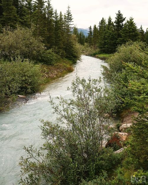 “River From Lake Louise” Taken with Canon T6I Location: Lake Louise, Alberta, Canada Tak