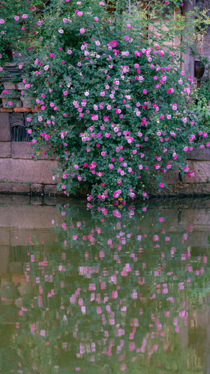 fuckyeahchinesegarden: shaoxing 绍兴, china by 喵呜不停