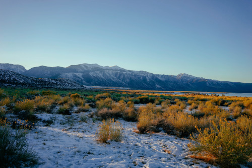 Mono Lake, CAInstagram | Website  