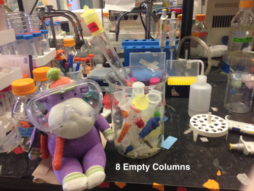 adventuresinchemistry:     Merry Christmas and Happy Holidays from Lewis the Science Hippo!  THIS IS HELL!!!