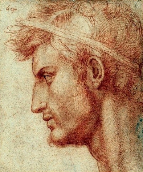 Andrea del Sarto,  Study for the Head of Julius Caesar