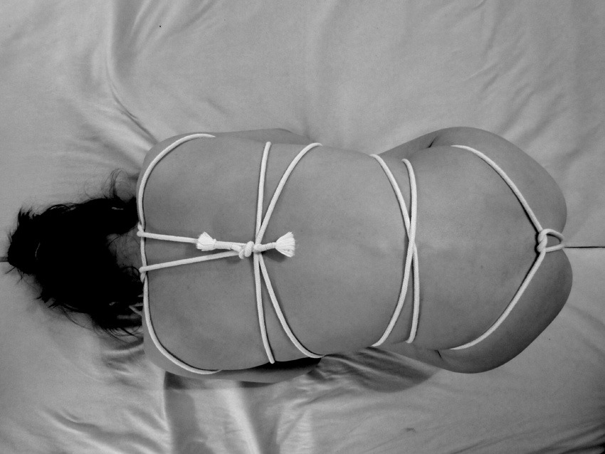 Bound to have fun