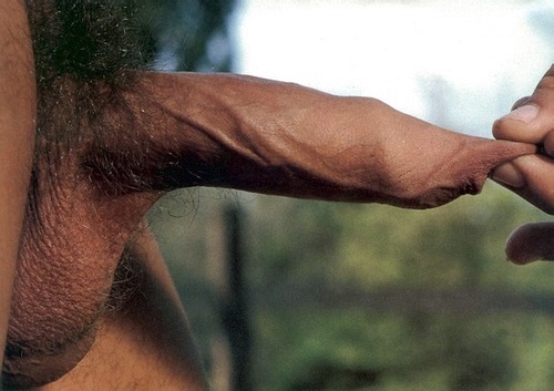 ilovesmallandnatural:  A few beautiful guys and their bushy cocks! Follow Us Here: http://ilovesmallandnatural.tumblr.comPlease send me pictures of your small, uncut or hairy man parts! http://ilovesmallandnatural.tumblr.com/submit