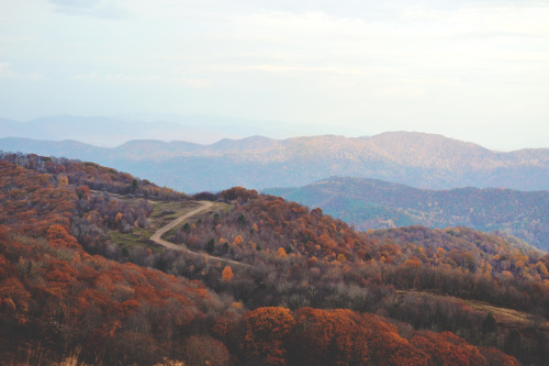 max patch