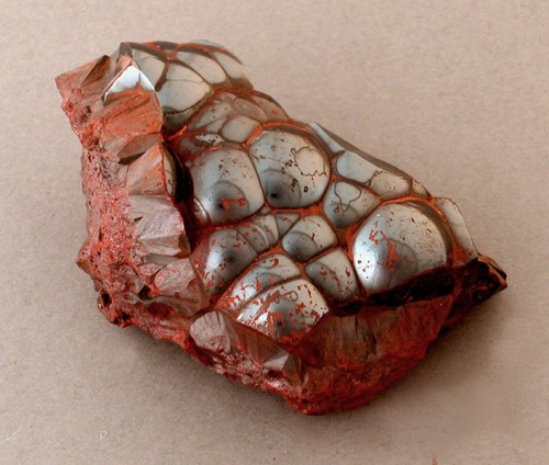 transparasite: feiridian: segomyeggo: pearl-nautilus: Botryoidal Hematite this rock is creepy as fuc