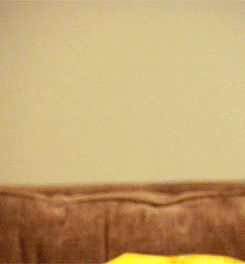 Paulie