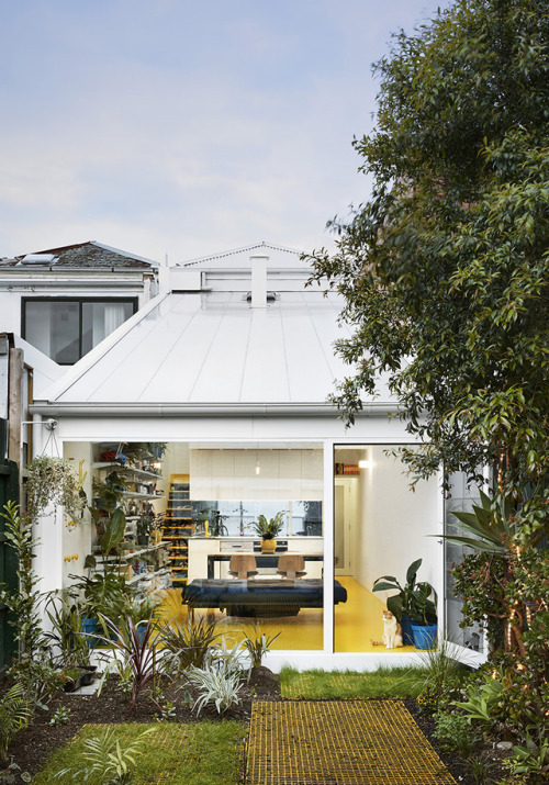 My-House | Austin Maynard ArchitectsLocation: Fitzroy, Victoria, AustraliaPhotography: Tess Kel
