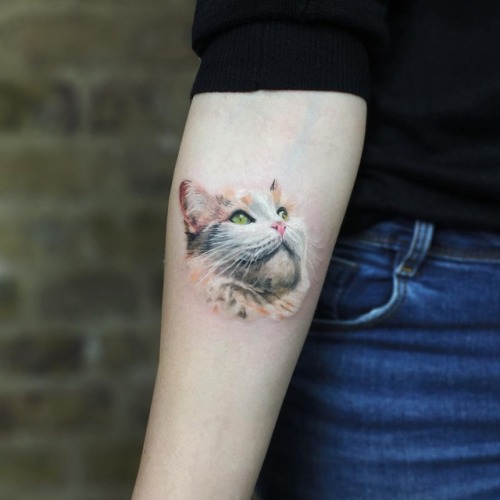 itstattoobloq:Gorgeous Cat Tattoo by Serkan Demirboğa