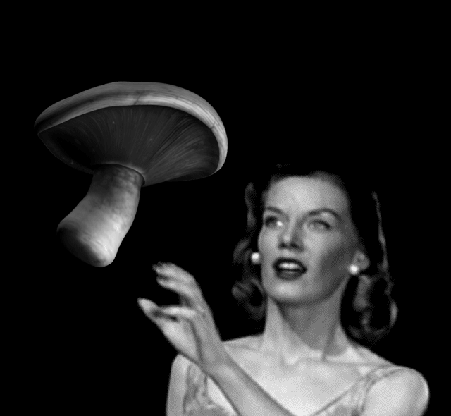 itscolossal:  Artist Bill Domonkos Remixes Archival Footage and Photos into Surreal Animations