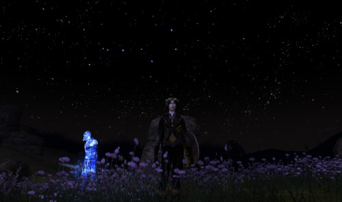 For Jamespricearts, who wanted to see some screencaps of my LotRO main (Ivrenneth on Vilya; come say