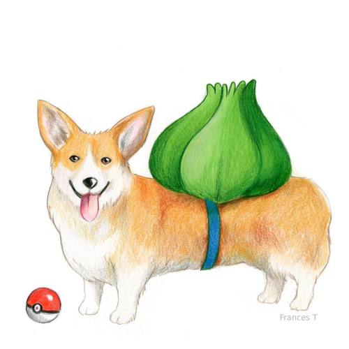 Anyone playing pokemon go? Who wouldn&rsquo;t want to catch a corgisaur? (Because I certainly choose