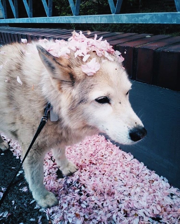気にしない