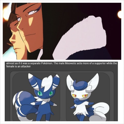iamabluemonkey:  “The male Meowstic acts more of a supporter while the female is an attacker… they tend to be very stoic and emotionless” “I’ll protect you my feeble turtleduck … why are you initiating physical contact with another