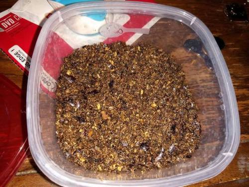 fantasticbeastsandhowtokeepthem: I put a bunch of the dried insects I have through my food processor
