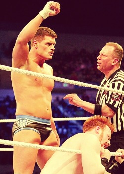 Looks to me like Cody is gonna have some fun with Sheamus in the ring.