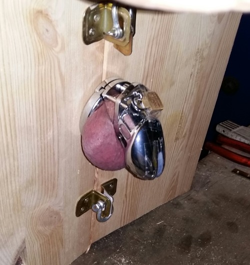 leatherbearsubwoofer:torturesadist: boysobey29:Locked inside the storage box with only its locked nu