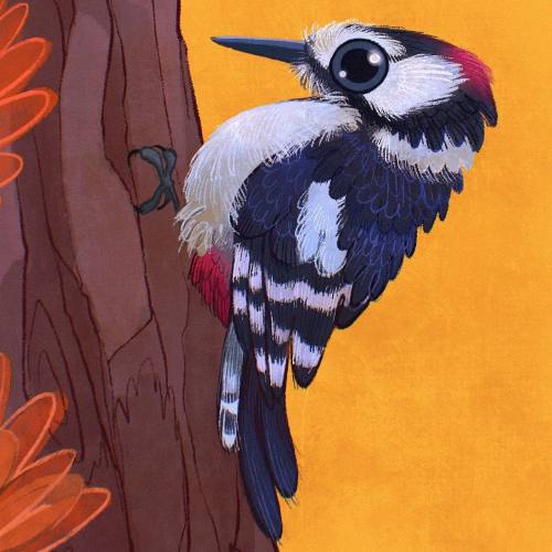 Birbfest 2022 (part 2) by Alice Pisoni 