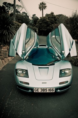 drugera:  Mclaren F1 