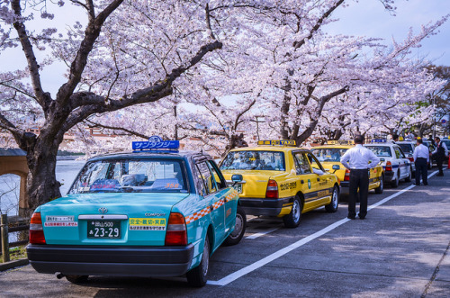 Waiting Beneath The Sakura by lestaylorphoto on Flickr.