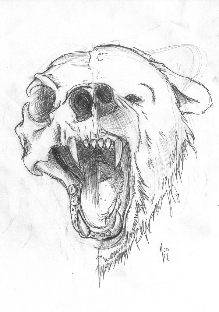 Premium Vector | Bear vector animal illustration for design sketch tattoo  design on white background