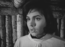 hirxeth:  Ivan’s Childhood (1962) dir.