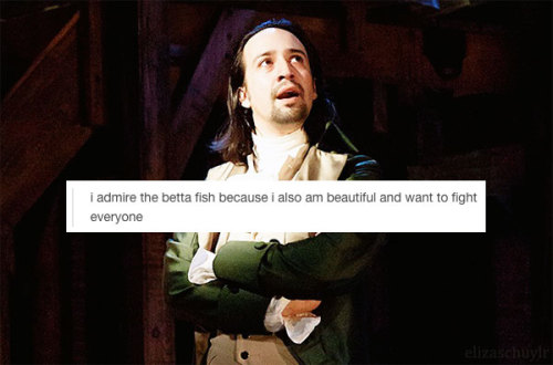 elizaschuylr: hamilton the musical: a brief summary