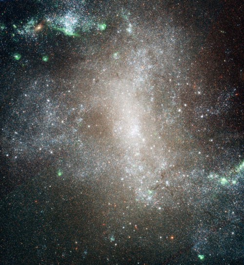 Spiral Galaxy NGC 1313 taken on February 22 in 2004