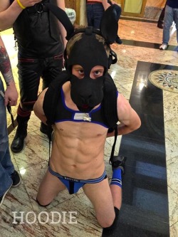 puphoodie:  Handcuffed, in a jock, and on