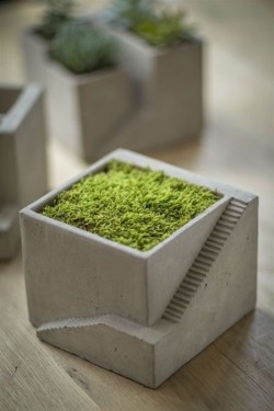 diycraftsnmore:  Cement Architectural Plant Cube Planter sold by mothology.com 