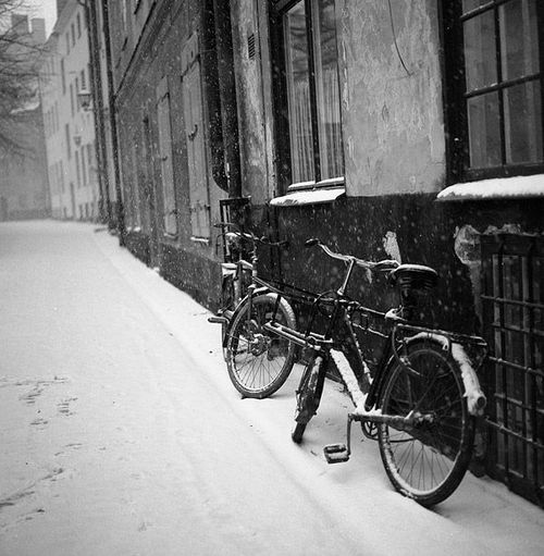 lydianightingale:  The snow has come Black and white by AtXU