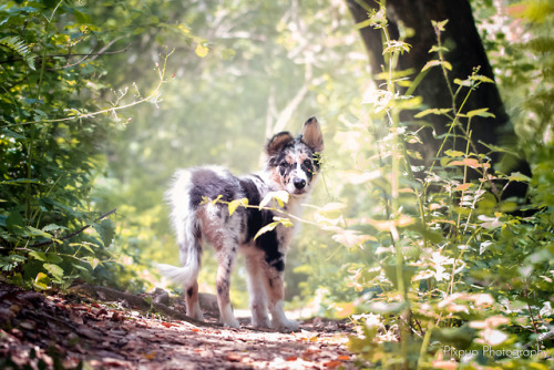 baby’s first woods hike! 