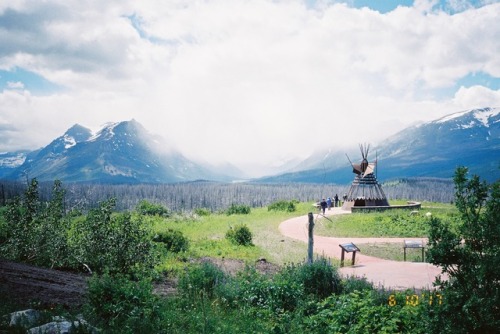 Glacier National Park, MT, on film.twitter / instagram