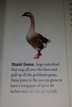 animal-factbook: Best text book description
