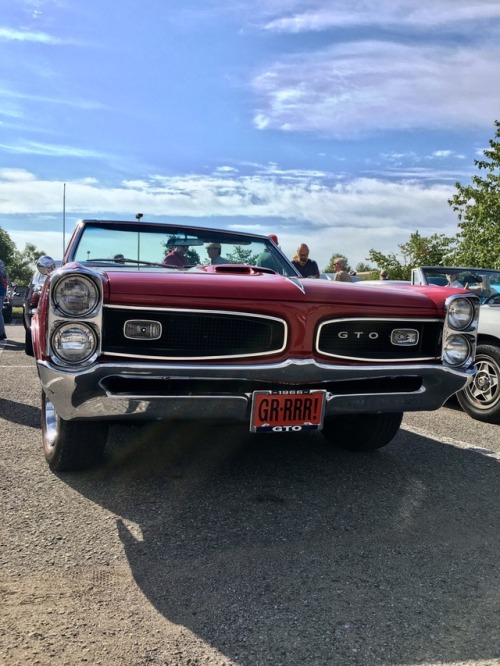 “Hump day it is…” And we have a 1966 convertible Pontiac GTO! This year only came with a big block 3