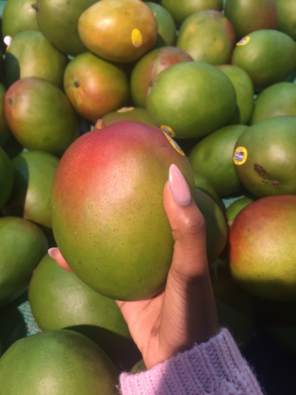 melongorl:  publishing my next Zine ‘random shit I put in my hand at the supermarket’
