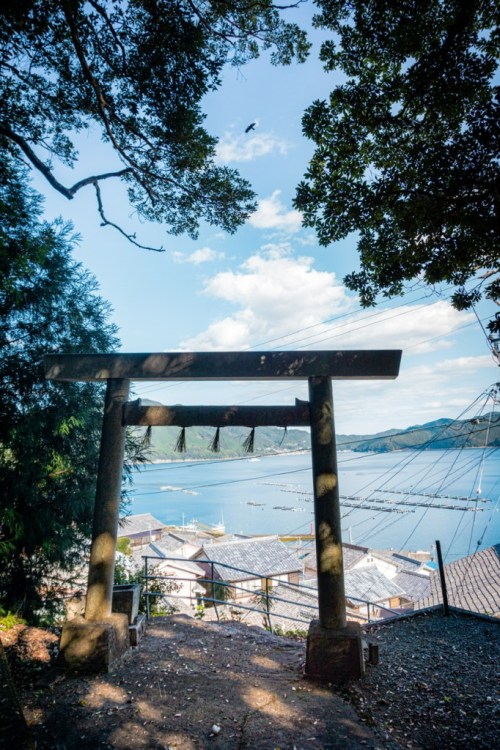 crazyfox-archives: Looking out from Furue Jinja Shrine (古江神社) in Furue, Owase City, Mie PrefecturePh