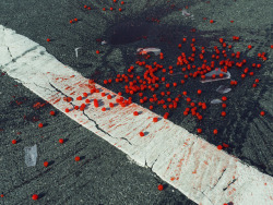 nitramar: Cherries spilled on crosswalk.