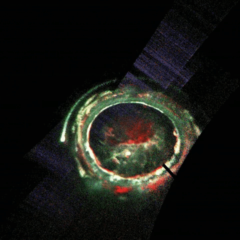 Incoming! We’ve Got Science from Jupiter!