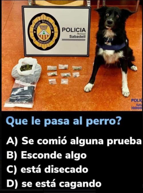 De nuevo el nuevo topic de las polleces encontradas por ahí - Página 3 261544a9900f647eaf46fc1a1cd3193ee82bfa2e