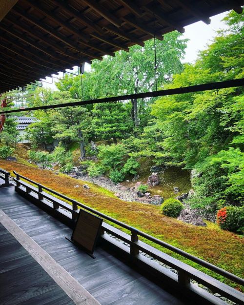 相国寺裏方丈庭園・開山堂庭園 [ 京都市上京区 ] Shokokuji Temple Hojo & Kaizando Garden, Kyoto の写真・記事を更新しました。 ーー今週末【9月