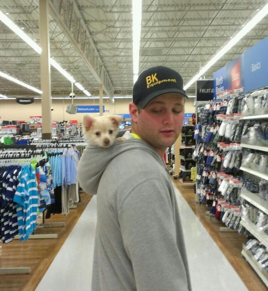 “Now let’s take a look at the pet’s section, dad. I want to see what’s on sale this week.”